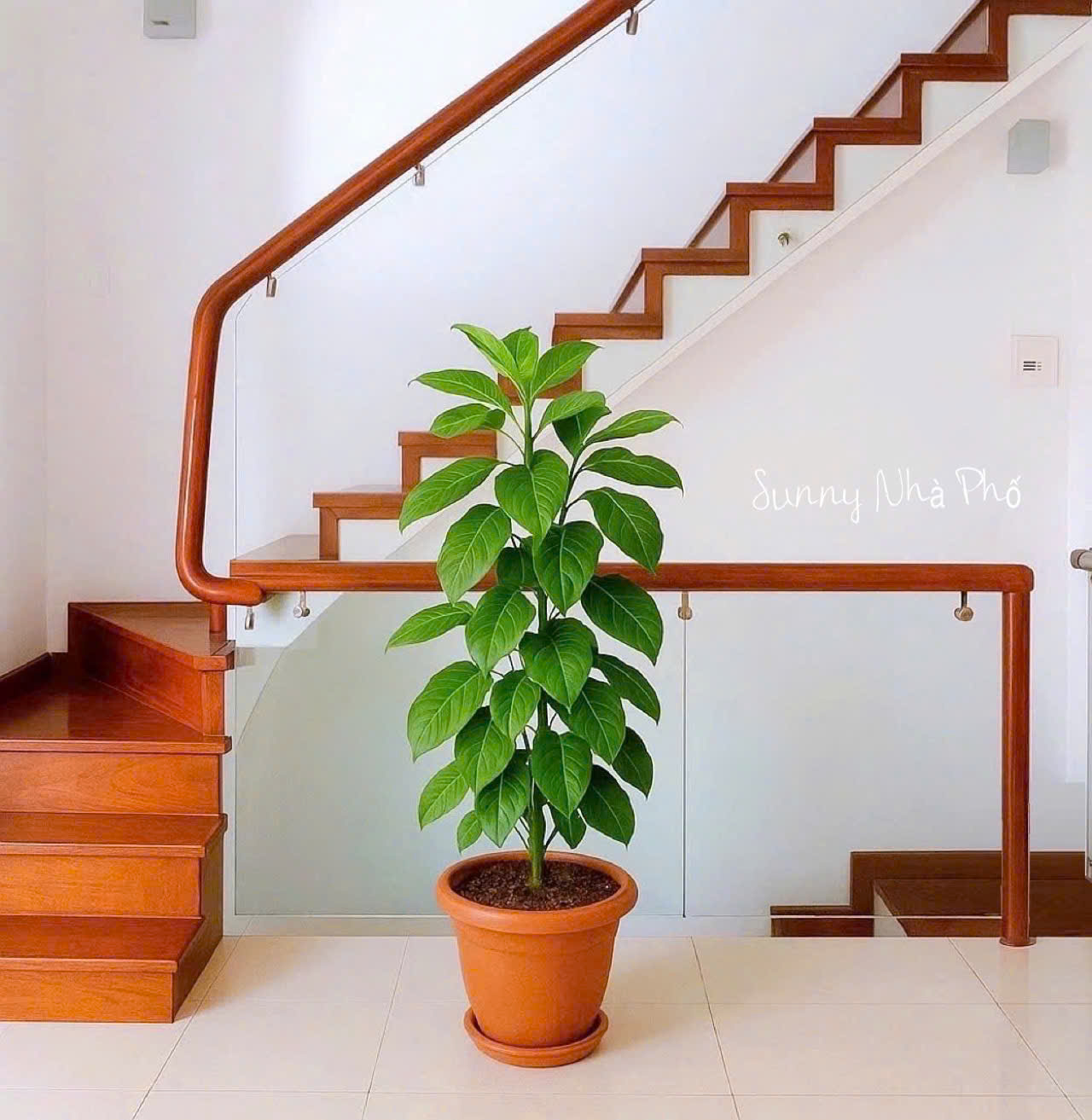 BÁN NHÀ HẺM Ô TÔ QUẬN 3 - CÁCH MẠNG THÁNG TÁM - 93 M2 - GIÁ 25 TỶ - Ảnh 1